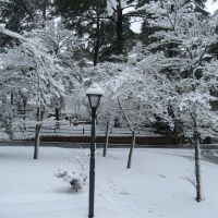 A Rare Snowstorm 2009.03.02, Фрутленд