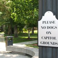 Please No Dogs, Карсон-Сити