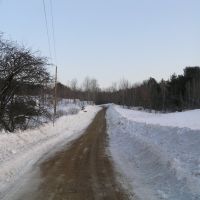Lambert Road to Homestead Forest, Вольфеборо