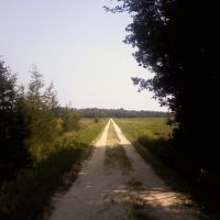The Road to Nowhere, Беркли