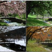 Hurd Park ~ 4 seasons, Довер
