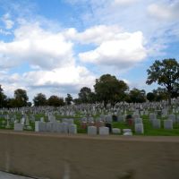 Holy Sepulchre Cemetery, Ирвингтон