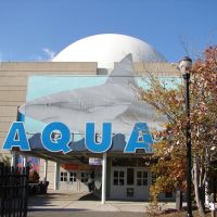 Adventure Aquarium, Camden, NJ, Камден