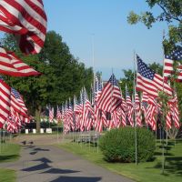 Kearney Cemetery on Veterans Day, Кирни