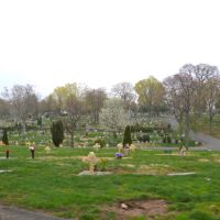 Glendale Cemetery, Натли