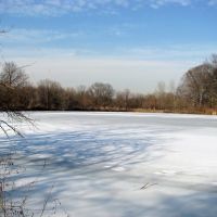 Frozen Indian Pond, Тинек