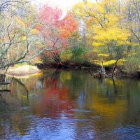 The river in autumn, Томс-Ривер