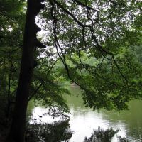Hopkins Pond & Tree, Хаддон