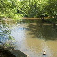 Stream At Cooper River, Черри-Хилл