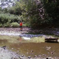 Drainage Sump in Belmont Park, Беллероз