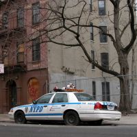 Harlem NYPD, Бронкс
