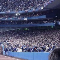 Old Yankee Stadium - 3rd Base Line - 2001 World Series Game 4 - H&M, Бронкс