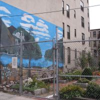 Harlem garden mural, Бронкс