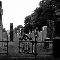 Cementerio, Вудсайд