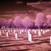 Saratoga National cemetery, Гейтс