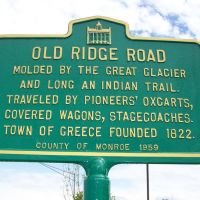 OLD RIDGE ROAD, Грис