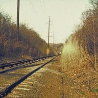 Eastbound LIRR Tracks, Great Neck, NY, Грэйт-Нек-Эстейтс