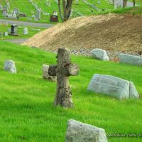 calvary cemetery 5/3/14, Джонсон-Сити