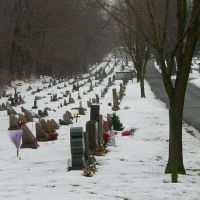 childrens section at calvary cemetery, Джонсон-Сити