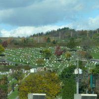 calvary cemetery from rt17, Джонсон-Сити