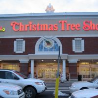 Christmas Tree Shops, Джонсон-Сити