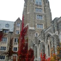 Cornell University at Ithaca, NY, Итака