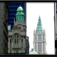 Woolworth building - New York - NY, Камиллус