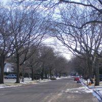 street with bare trees, Коммак