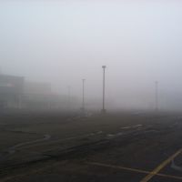Foggy morning, Лейк-Саксесс