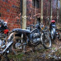 Motorcycle Alley, Локпорт