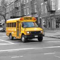 School bus, Лонг-Айленд-Сити