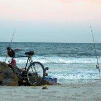 Bike to the Surf and Fish, Лонг-Бич
