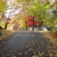 Fall in Mount Vernon, Маунт-Вернон
