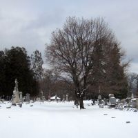 Albany Rural Cemetery, snow scene, Менандс