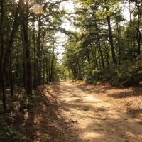 Brookhaven State Park - Green trail, Миддл-Айденд