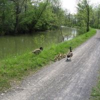 Old Erie Canal Trail - May 14, 2007, Миноа