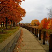 Beautiful Indian Summer Day in November on Canal Landing Blvd, Greece, NY, Норт-Гейтс