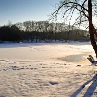 Green Lake in Winter, Орчард-Парк