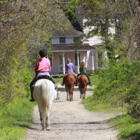 Horseback Riding in the Park, Смиттаун