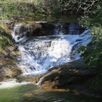 Walnut Creek Falls, Форествилл