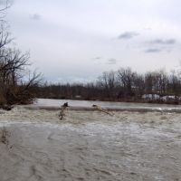 Buffalo Creek Falls spring flood, Элма-Сентер