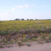 west of Hagerman, NM, Декстер