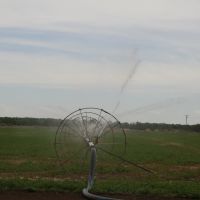 Artesia, Irrigation fields, Декстер