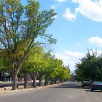 Tree lined street, Деминг