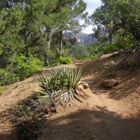 albuquerque, paisaje en cibola national park, Корралес