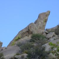 albuquerque, high desert, el lagarto, Корралес