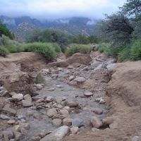 Water in arroyo, Sandia foothills, Лас-Крукес