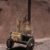 Old Cart, Таос