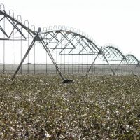 Cotton fields and irrigation equipment, Татум