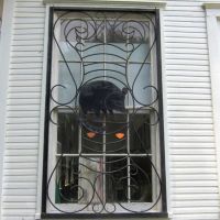 School Window with Raccoon Iron Work Grill, Амесвилл